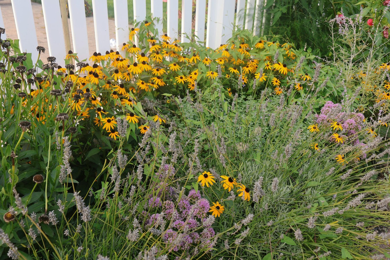 Pollinator Garden Design: 7 Best Ways To Boost Bees (Proven) 1 pexels sarah o shea 98049248 28126056 scaled Your Home Review