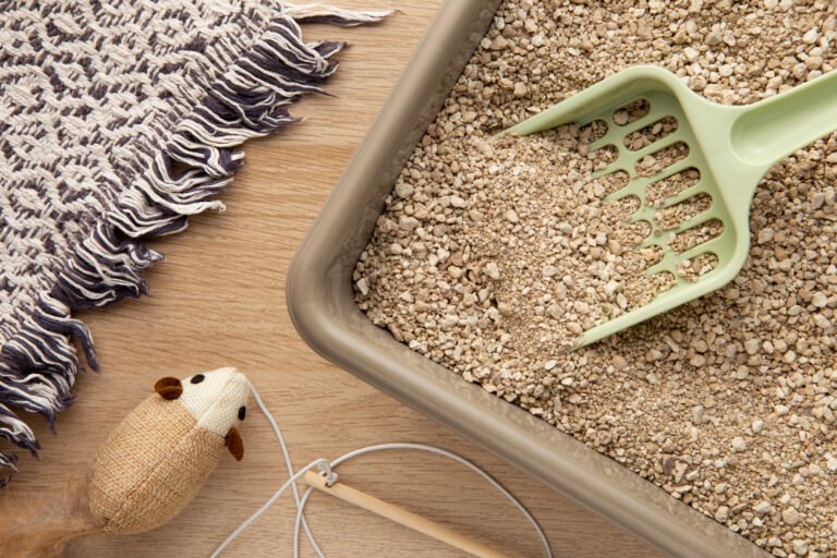 Tofu Cat Litter 3 Your Home Review
