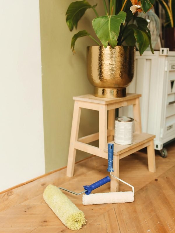 pexels-polina-tankilevitch-5583117 pexels-polina-tankilevitch-5583117